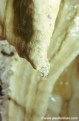 Drop of water on stalagmite